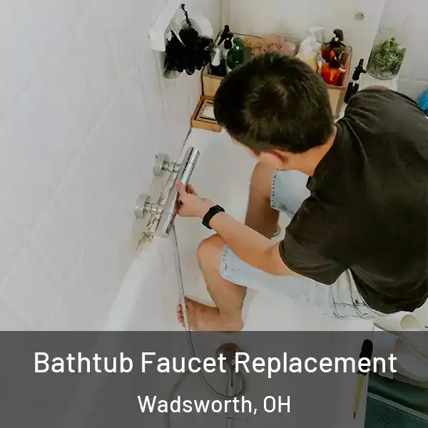  Bathtub Faucet Replacement Wadsworth, OH