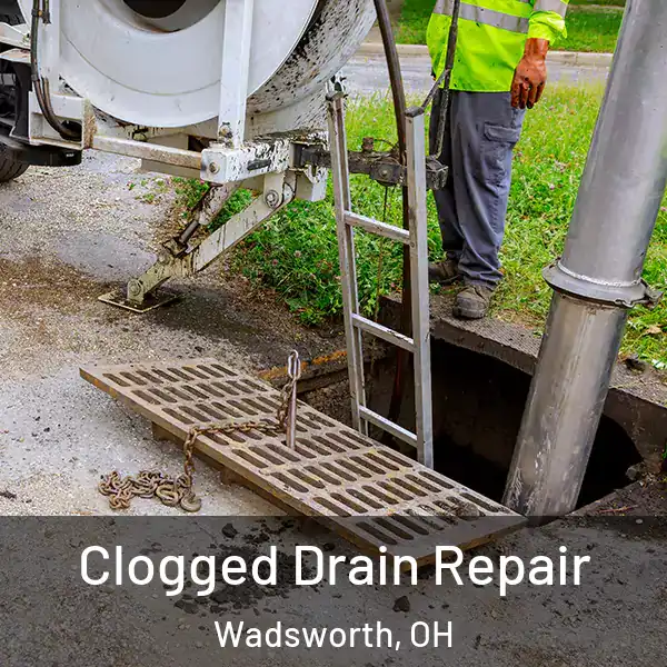  Clogged Drain Repair Wadsworth, OH