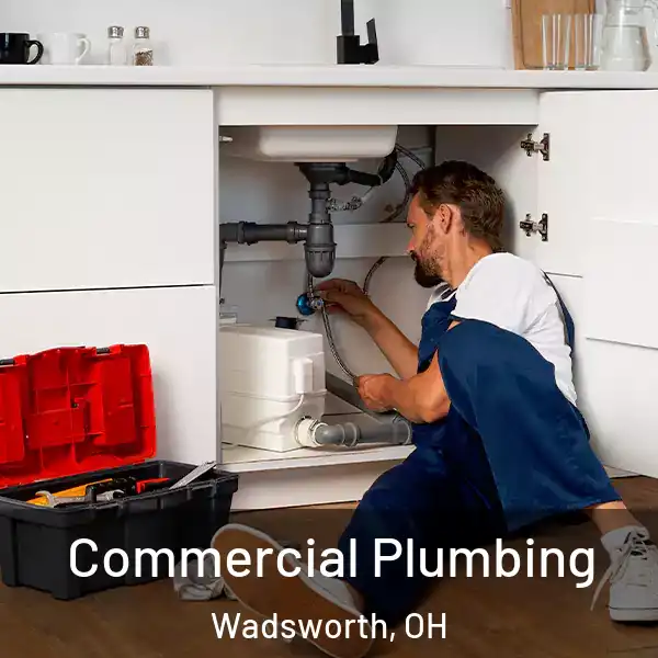  Commercial Plumbing Wadsworth, OH