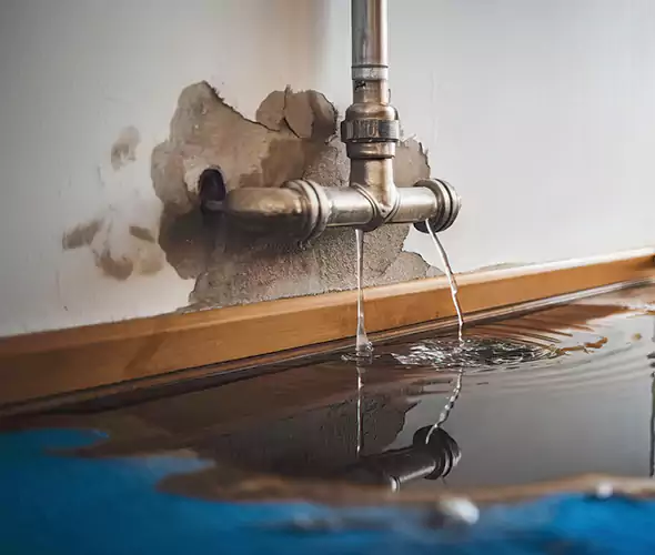 Professional Water Damage Restoration Experts in Wadsworth, OH — Fast, Reliable & Certified