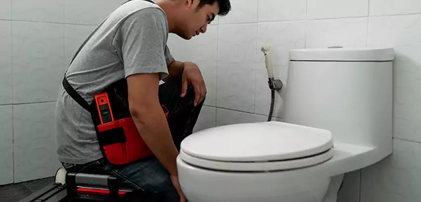 Toilet Repair in Wadsworth