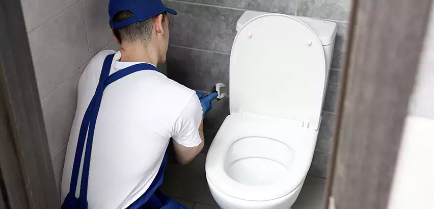 Toilet Lid Replacement in Wadsworth