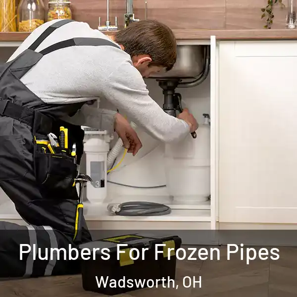  Plumbers For Frozen Pipes Wadsworth, OH