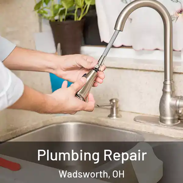  Plumbing Repair Wadsworth, OH