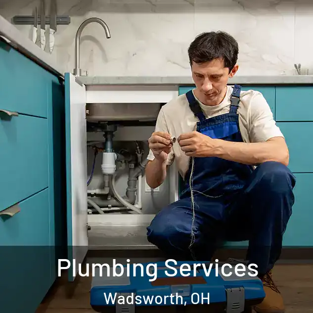  Plumbing Services Wadsworth, OH